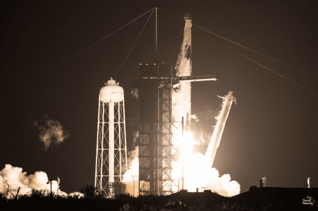 SpaceX Crew Dragon flight