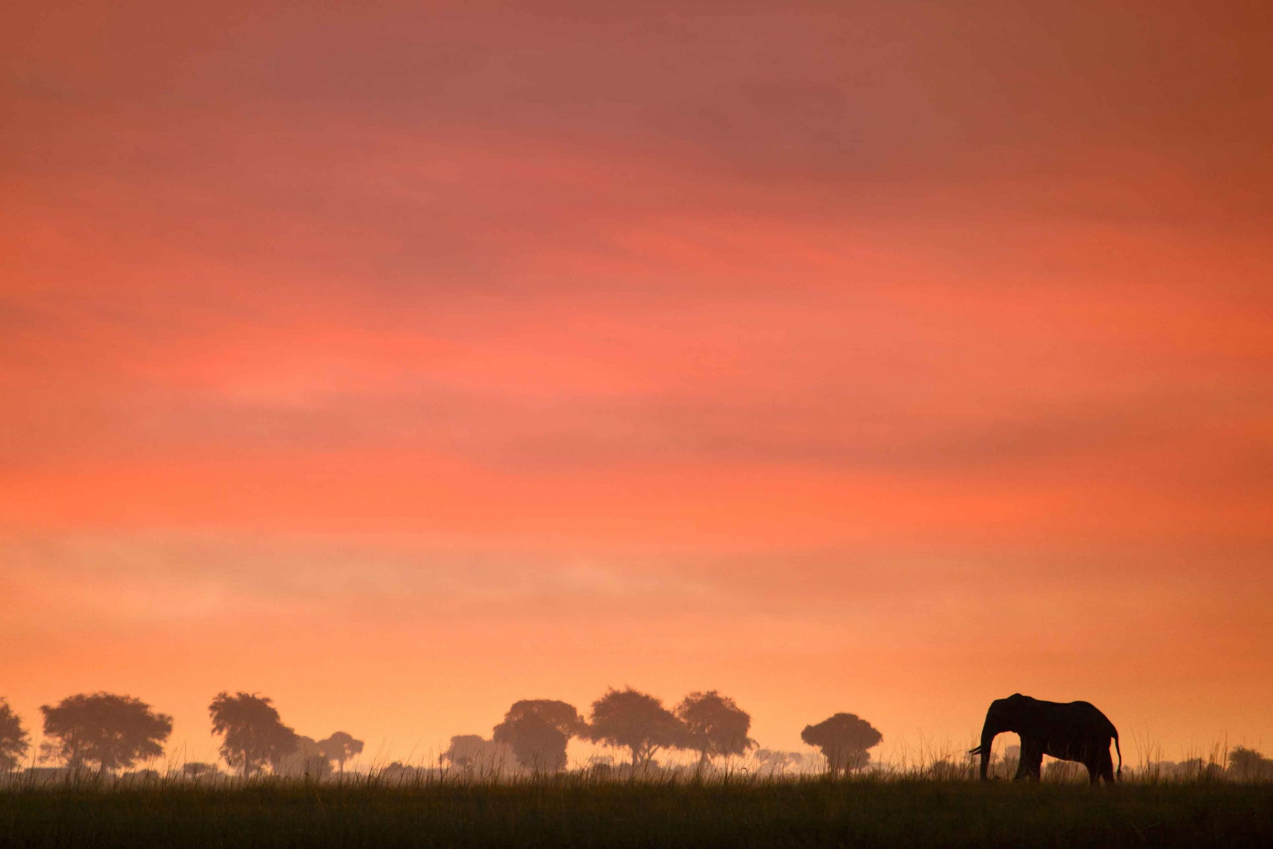 Botswana Sunset Safari