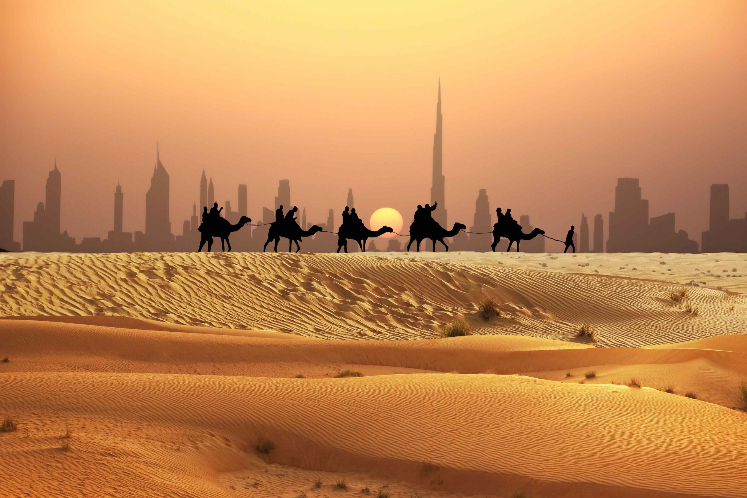 Camel safari, Dubai, UAE