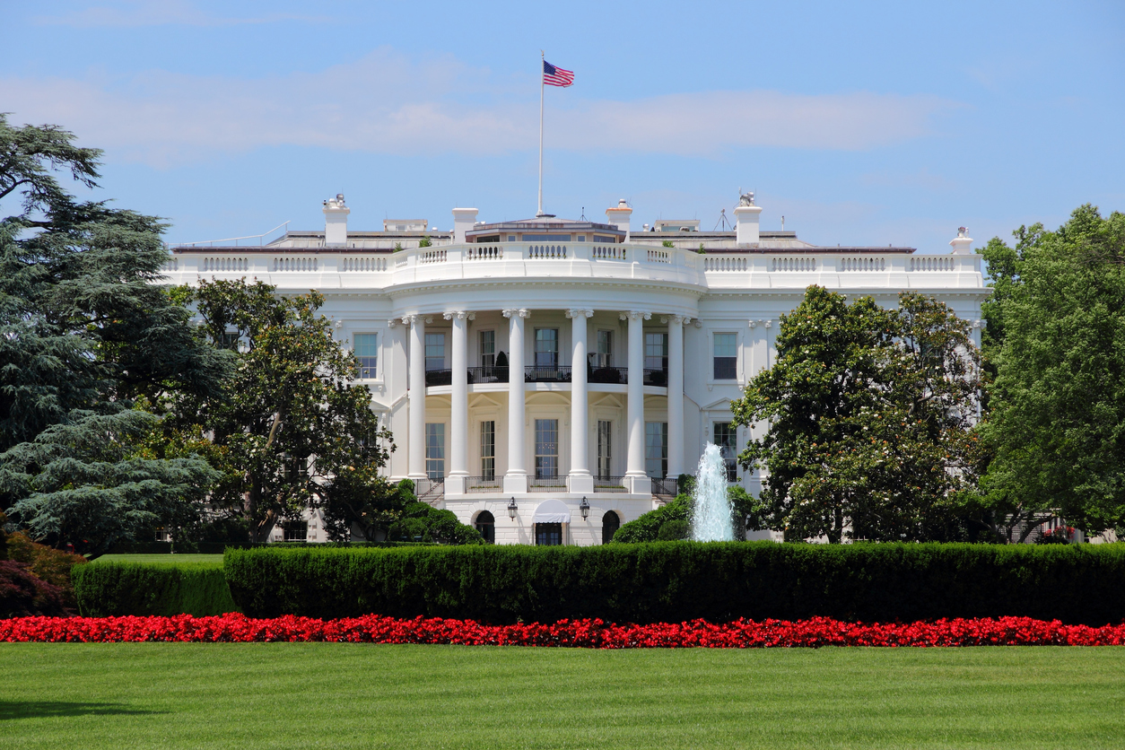 The White House garden view