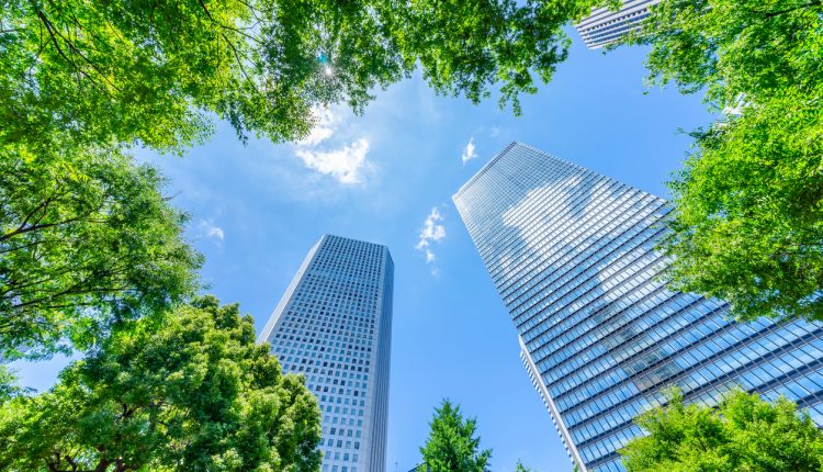 Trees and skyscrapers in Shinjuku, Tokyo