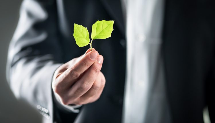 Businessman holding green leaf; business sustainability