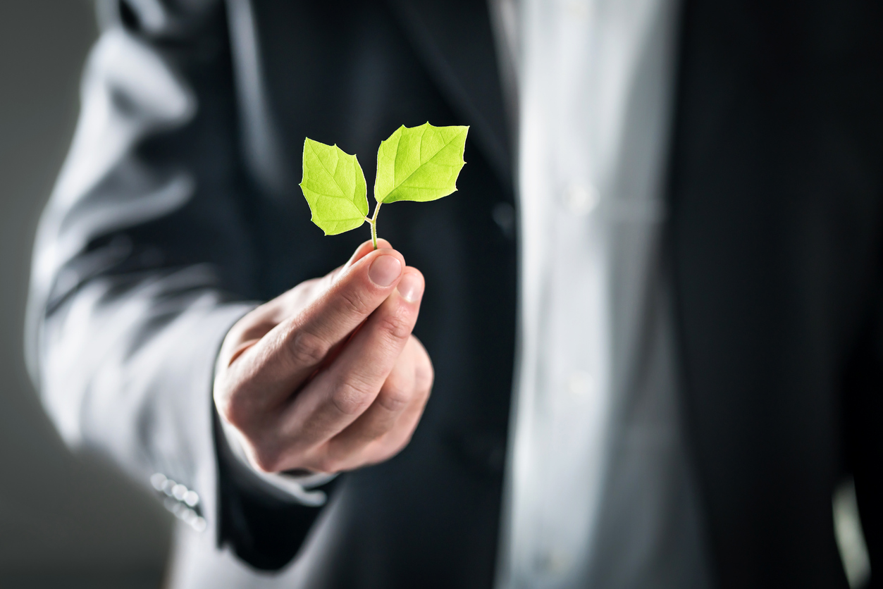 Businessman holding green leaf; business sustainability