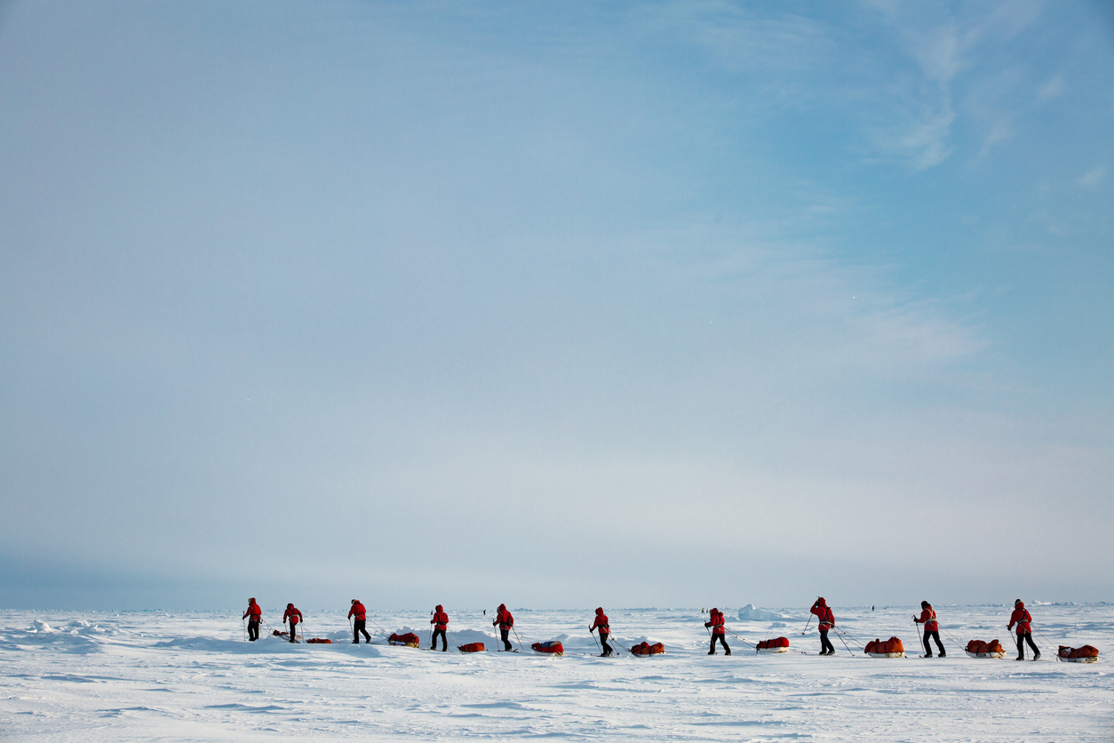 Expedition to the North Pole