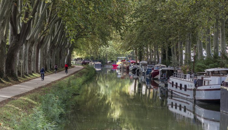 autumn view of the banks of the Canal du Midi in Toulouse