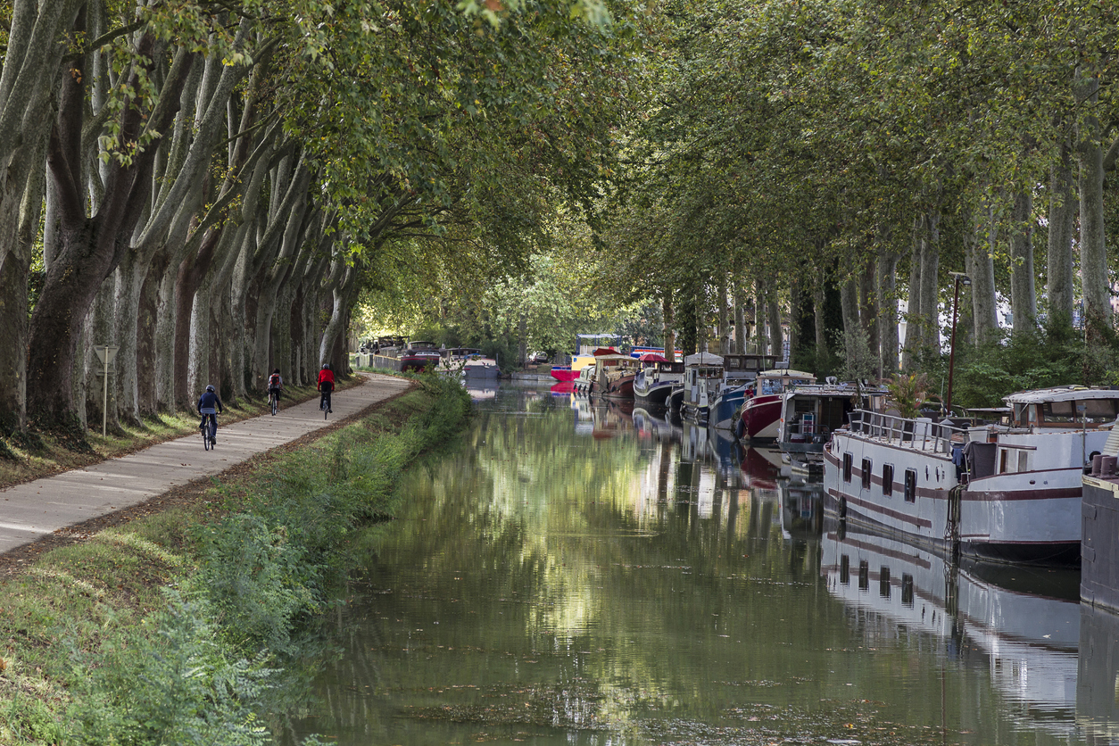 autumn view of the banks of the Canal du Midi in Toulouse