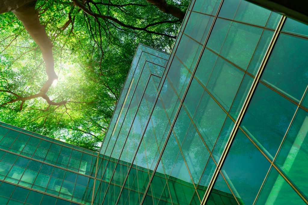 Eco-friendly building in the modern city. Green tree branches with leaves and sustainable glass building for reducing heat and carbon dioxide. Office building with green environment. Go green concept.