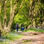 Why Walking Is the Workout of 2026