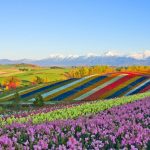 Why Japan Is the New Big Trip for Gen Z?