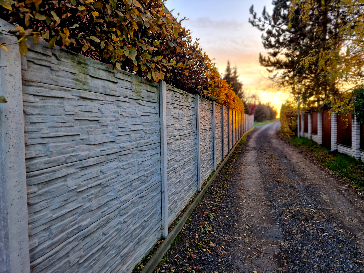 look at the installation of a wire fence from fence panels. the panels are attached to concreted posts. a path between gardens where hornbeam grow like a hedge. coloring of leaves in autumn.