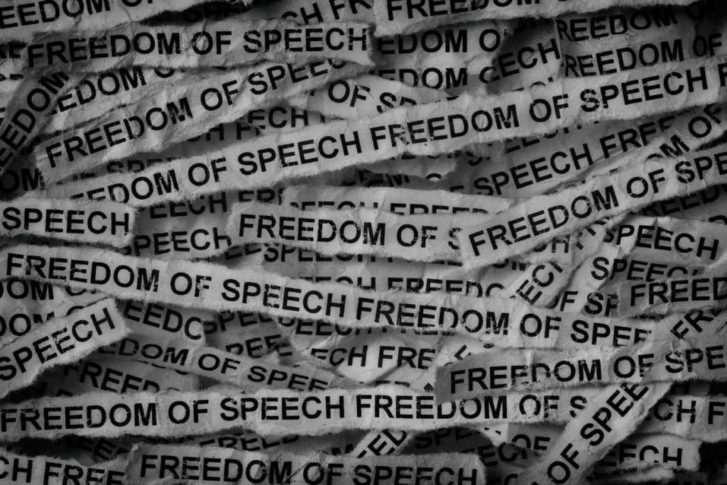 strips of newspaper with the words freedom of speech typed on them