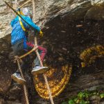 Mad Honey Through the Ages: A Historical Journey into Its Fascinating Uses