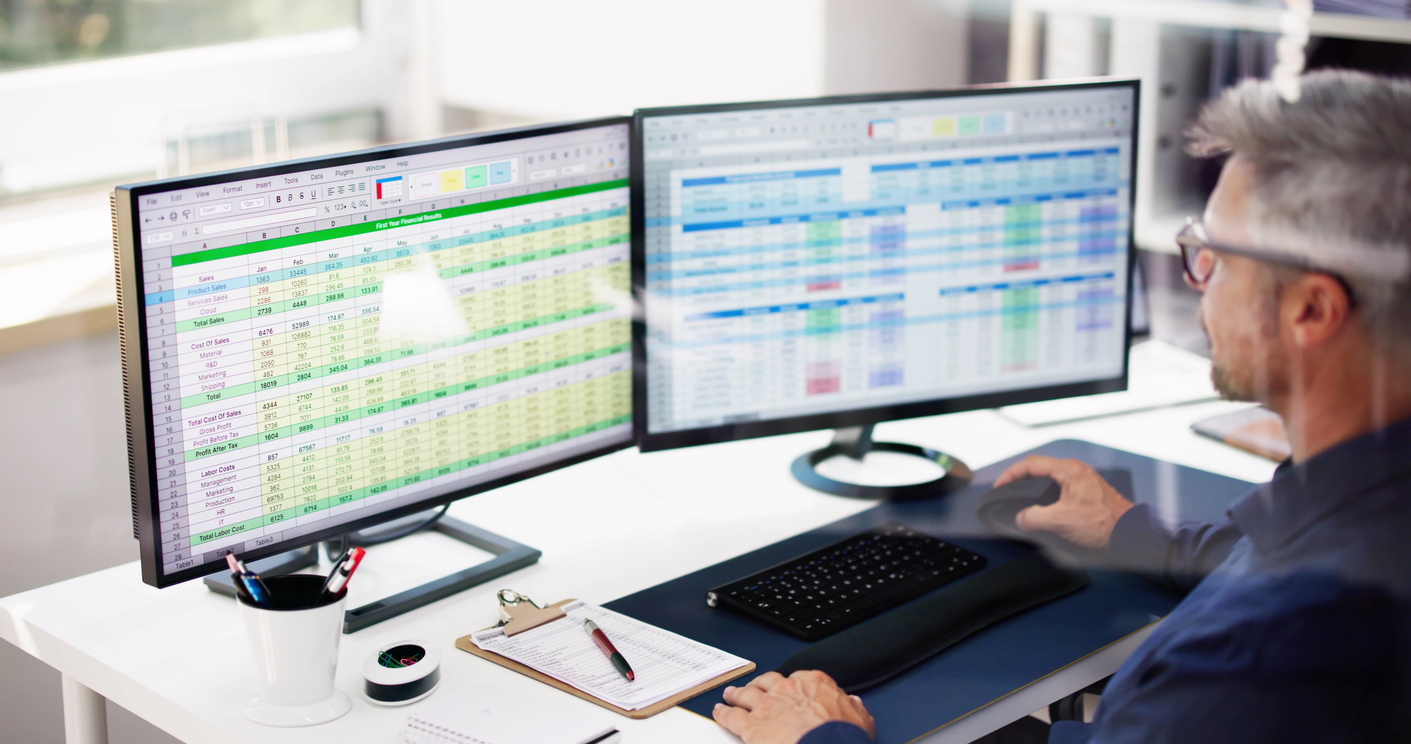 accountant using online spreadsheet