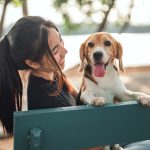 College Students & Emotional Support Animals: Navigating Campus Life with Extra Support