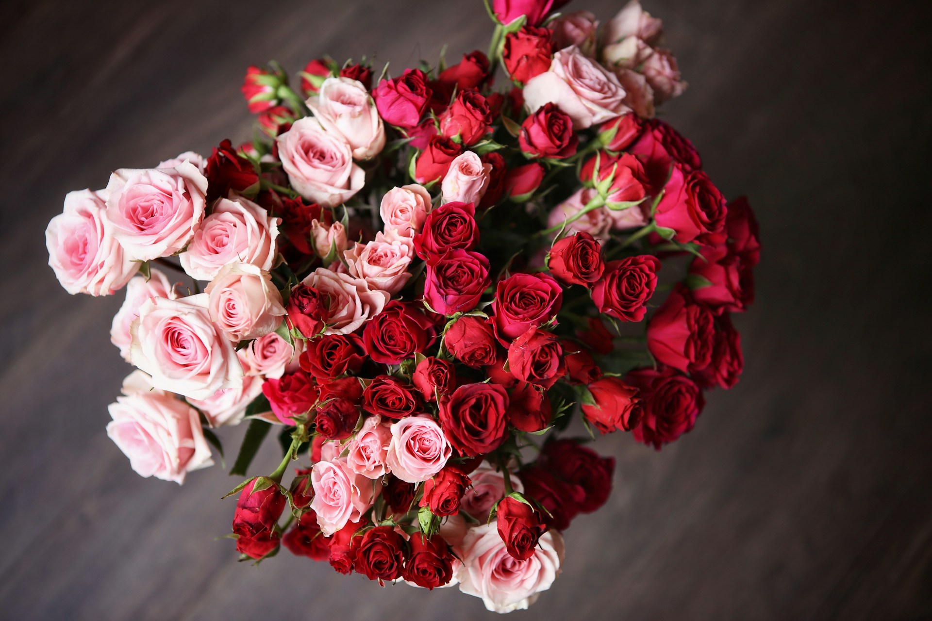 pink and red roses