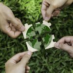 Trash Disposal: What Every Eco-Conscious CEO Should Know