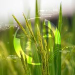 Advancing Agricultural Innovation with Ramdon Growbro Technology