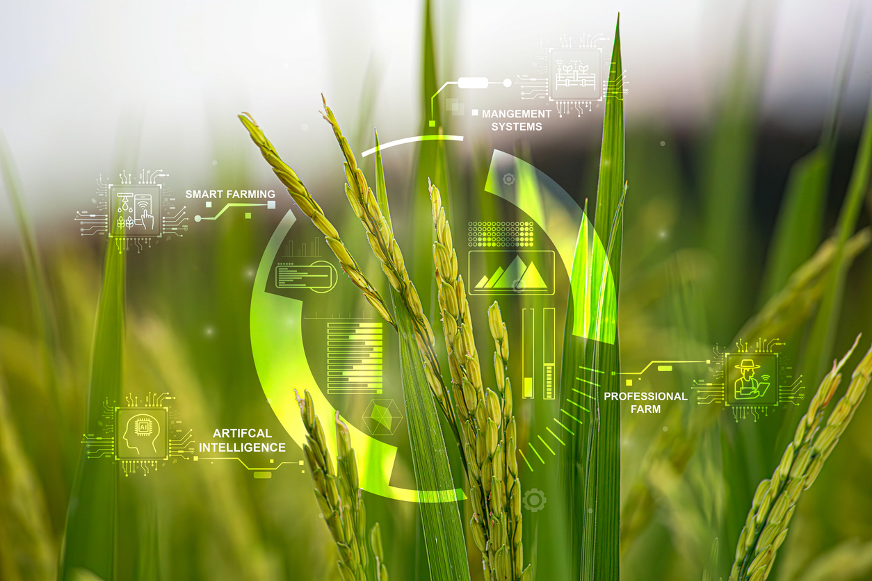 agricultural technology concept, ai system. a young man is working on a farm using a tablet controller with innovative technology for a smart farm system.