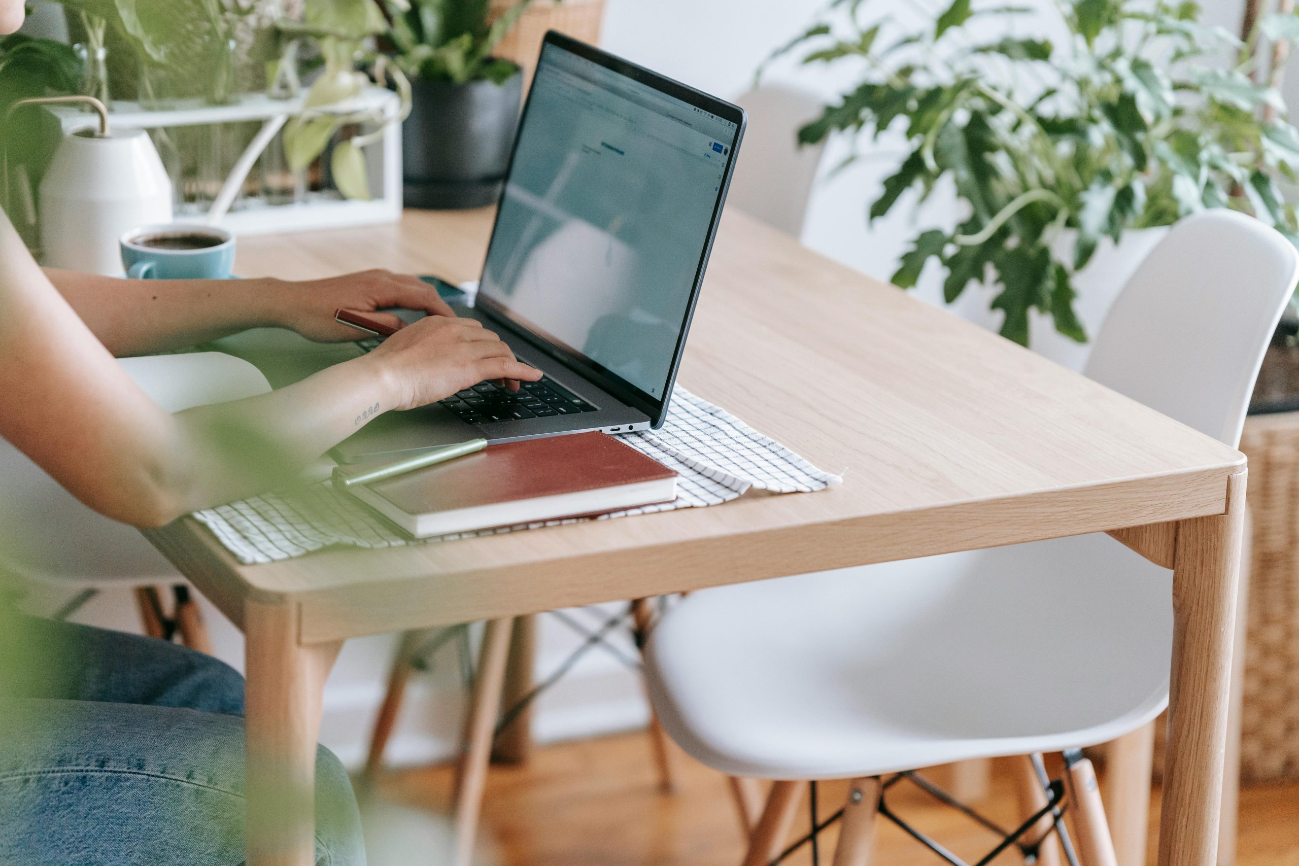 Netpeak US Success Stories: Digital Marketing Wins That Deliver Results