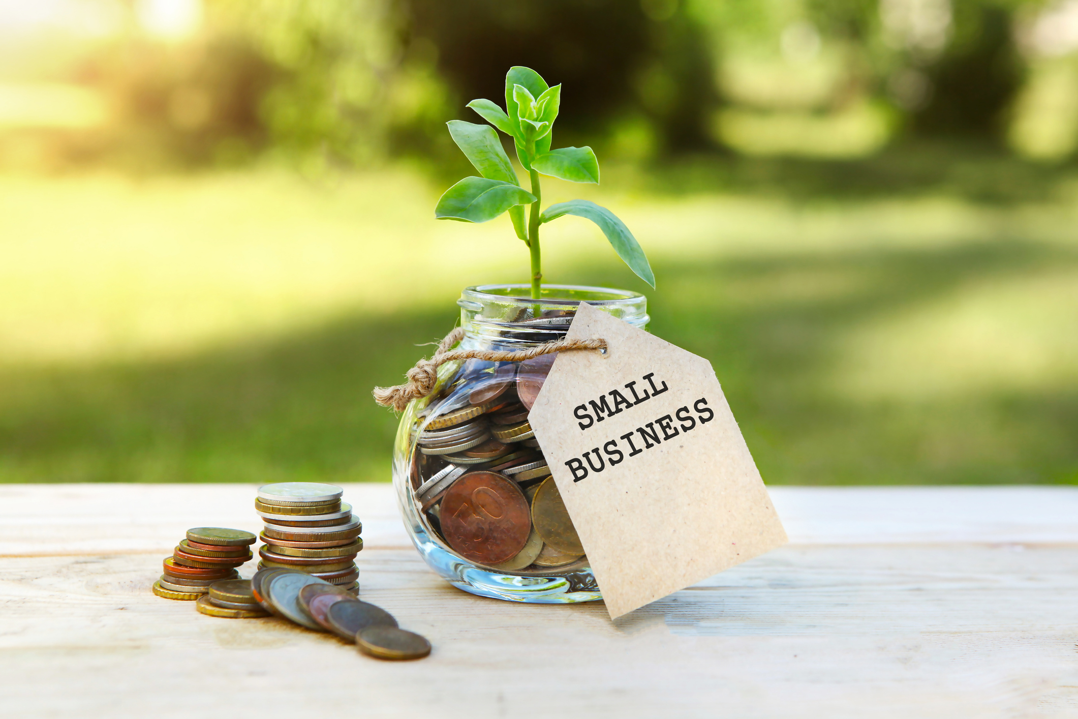 small business. glass jar with coins and a plant in it, with a label on the jar and a few coins on a wooden table, natural background. finance and investment concept.