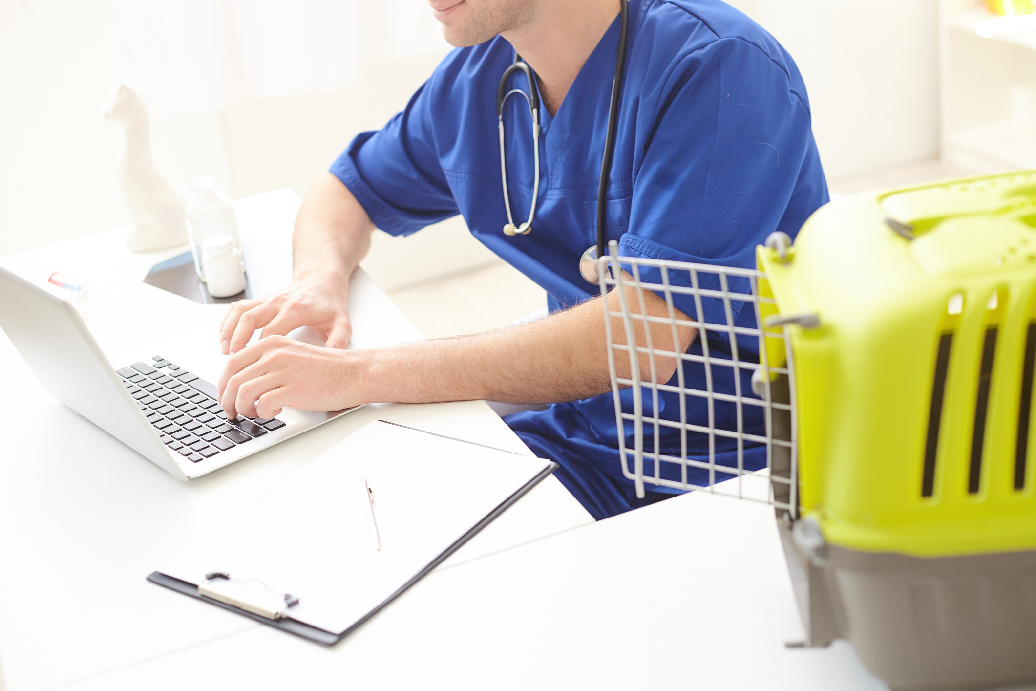 skillful male vet is working on computer