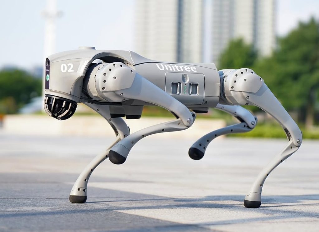 458487383 8107815895974281 5595826331151219037 n