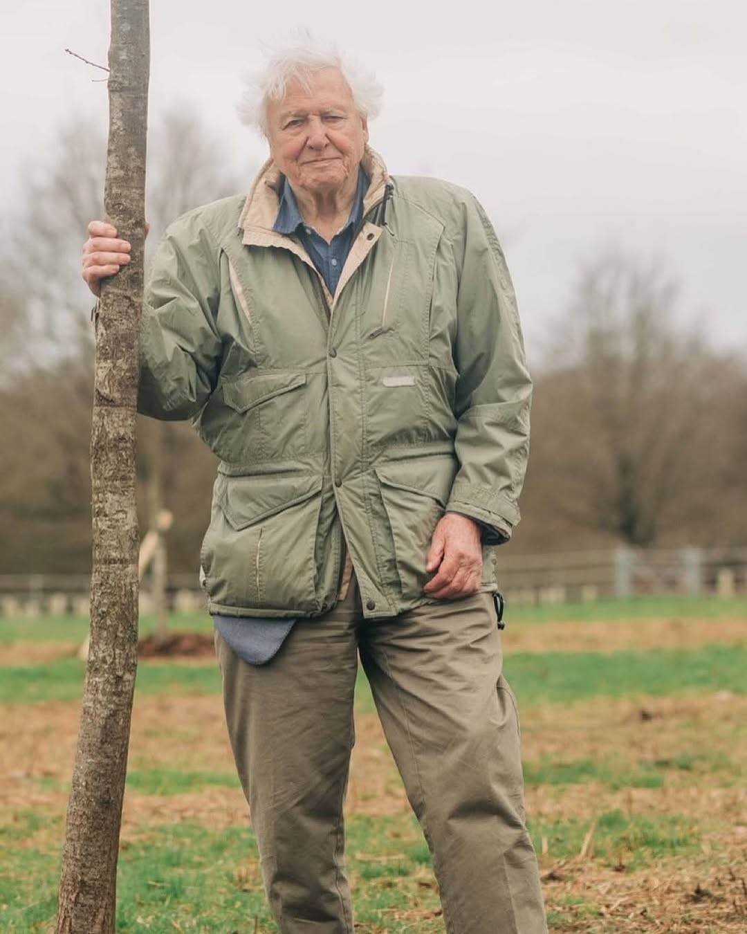 495927106 18367872067132570 8554119881590181340 n