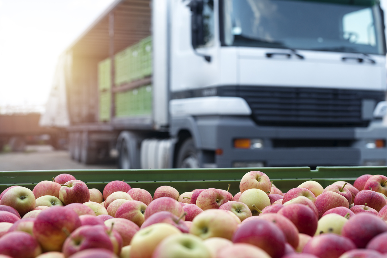 fruit and food distribution. truck loaded with containers full of apples ready to be shipped to the market.