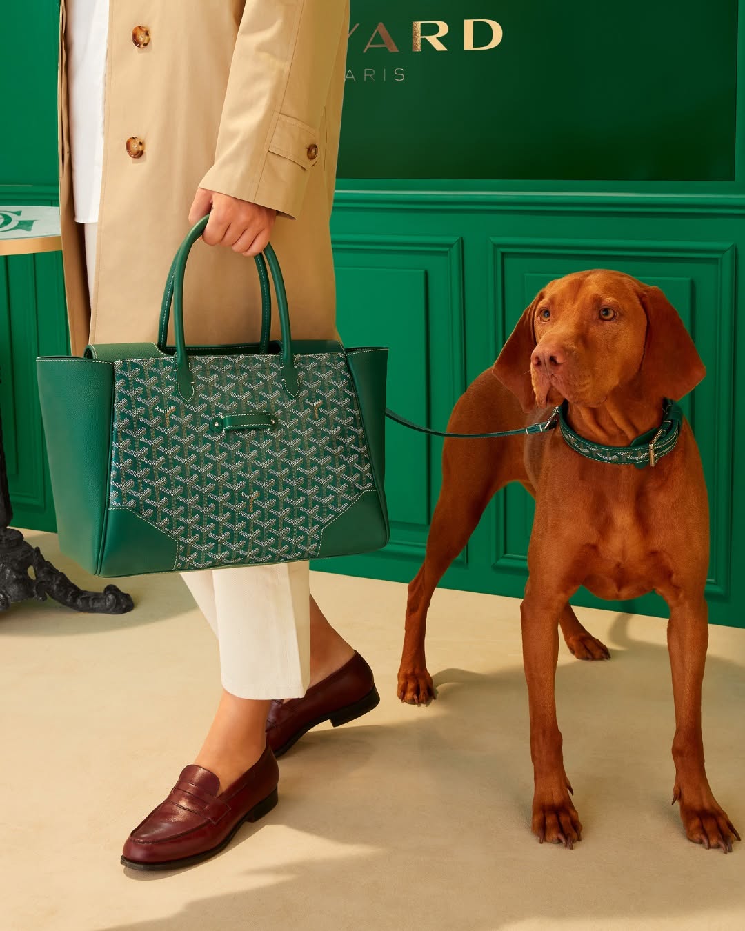 381055653 712869840876062 22942736024794298 n