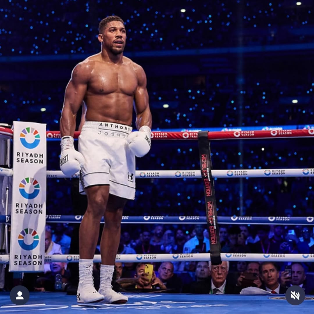 463268356 424236790378199 339570452523054120 n