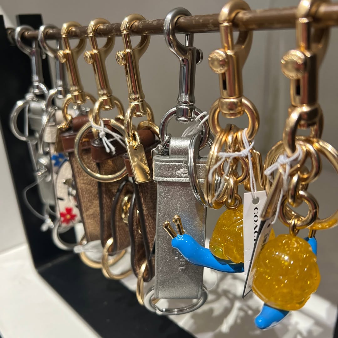 482240917 653539833726196 3734878293633412540 n