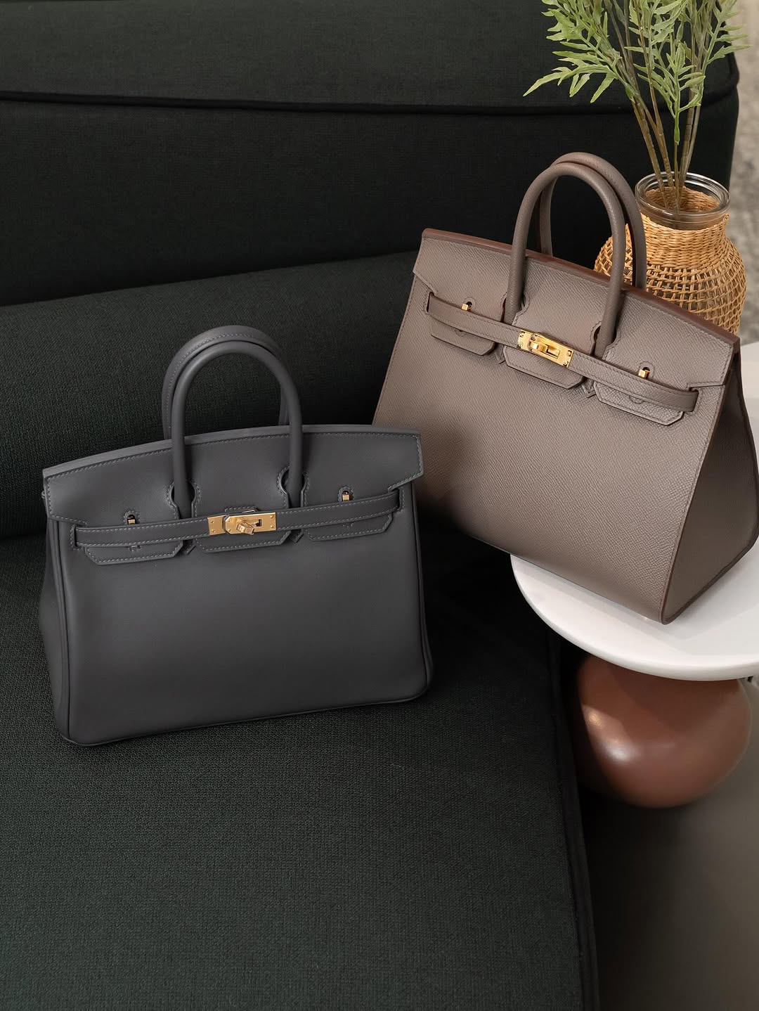 561743448 18140612926434020 4774056223083459603 n