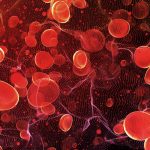 Hematology Advancing Blood Health and Treatment