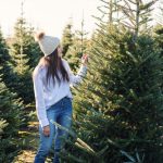 Real vs Fake Christmas Trees: Which Is Better?