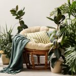 Why Your Plants Keep Dying (Even When Watered)&nbsp;