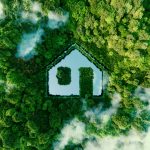 Eco-Friendly Home Swaps You Can Make Today