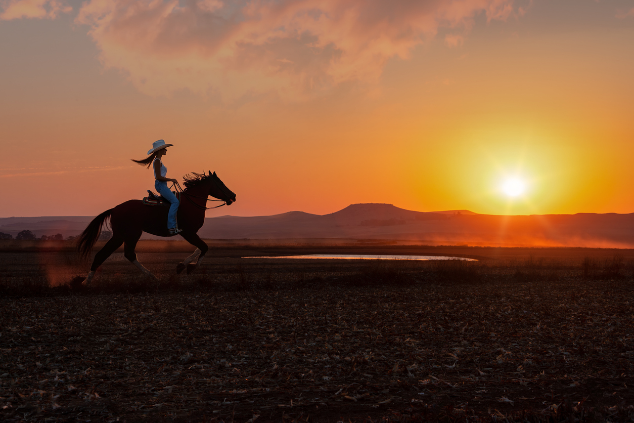 silhouette cowgirl in the sunset riding galloping in the prairie near a waterhole