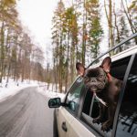 Winter Road Trip Tech Essentials