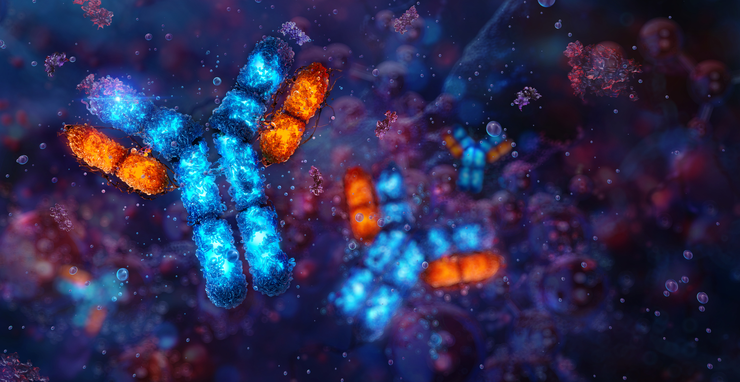 antigen antibody interaction. an antigen molecule binding to a specific antibody