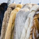 Fur in Fashion: History, Ethics & the Rise of Faux Fur