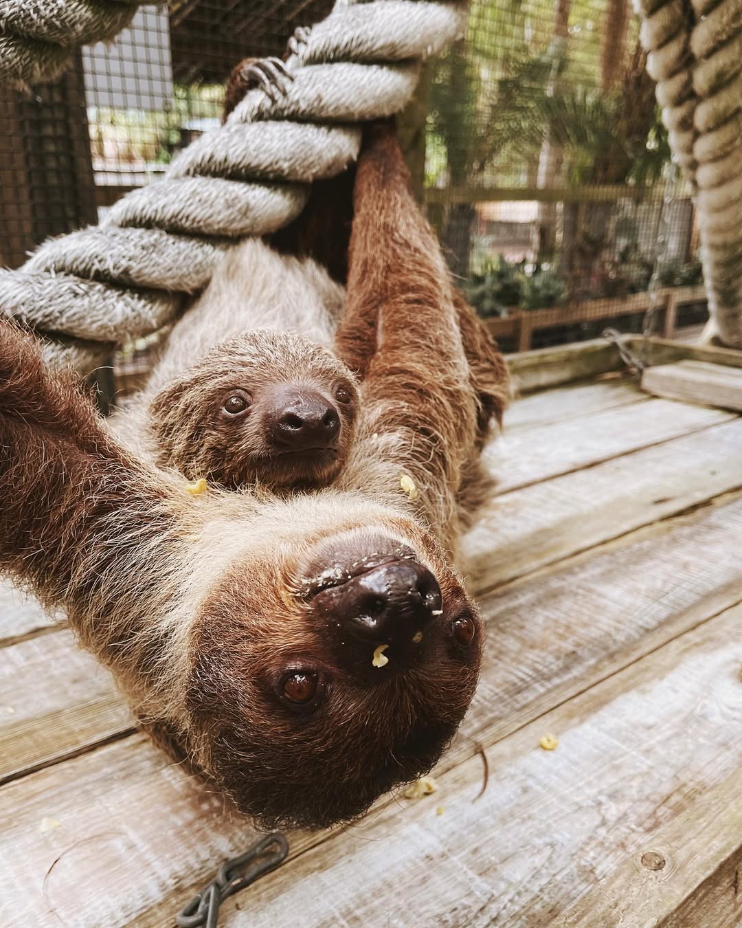 271623422 1870211559829164 4945625289942871631 n